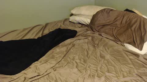 virgilmoss online show from January 2025 12:02:01 AM