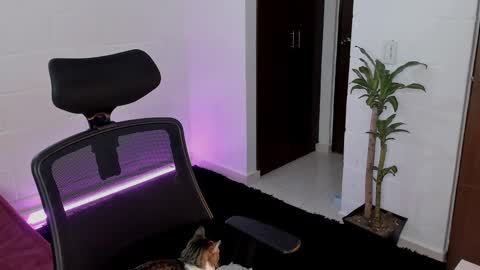 Snapshot of virtual111_ chatting on March 2025 12:27:02 AM Lu online show from March 2025 12:27:02 AM