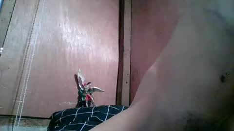 kim online show from February 2026 10:47:01 PM