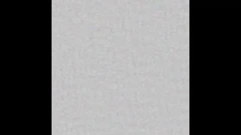 Vivian online show from October 2025 11:20:02 AM