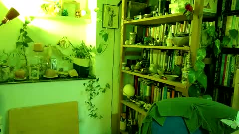 Viv online show from March 2025 04:10:01 PM