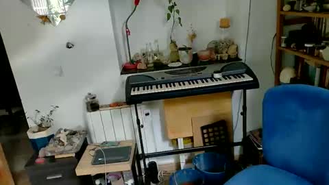 Viv online show from December 2025 10:55:02 AM