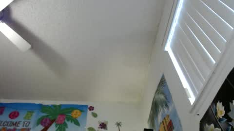 Snapshot of vixenfyre chatting on December 2024 10:45:02 PM Vixen Fyre online show from December 2024 10:45:02 PM