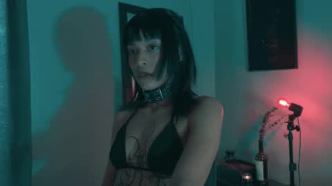 Snapshot of vortexspecter chatting on October 2025 08:42:01 PM vortexspecter online show from October 2025 08:42:01 PM