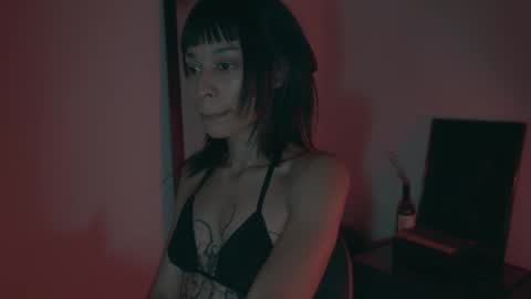 Snapshot of vortexspecter chatting on February 2026 09:33:01 PM vortexspecter online show from February 2026 09:33:01 PM