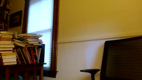 vtcd online show from October 2025 07:55:01 PM