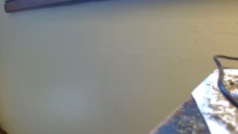 vtcd online show from April 2026 02:43:02 PM