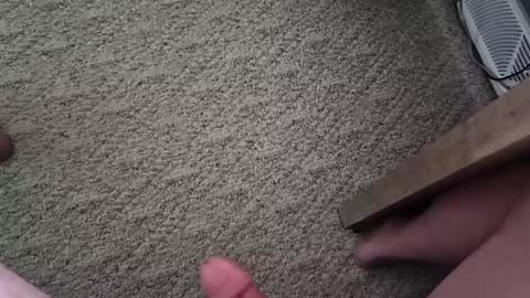 vtxrider77 online show from October 2025 03:40:01 PM