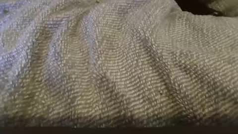 Snapshot of vwelad6969 chatting on February 2025 02:34:02 PM hung boy online show from February 2025 02:34:02 PM