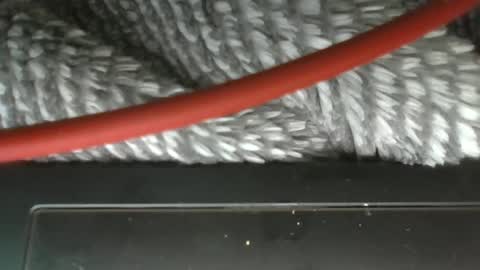 Snapshot of vwelad6969 chatting on March 2025 03:57:01 AM hung boy online show from March 2025 03:57:01 AM