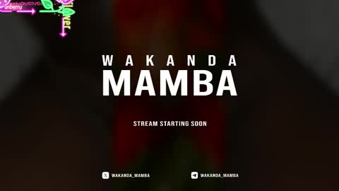 Snapshot of wakanda_mamba chatting on November 2025 03:40:01 PM Wakanda Mamba online show from November 2025 03:40:01 PM