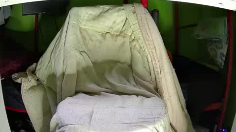 Snapshot of walltazv chatting on November 2025 05:30:02 AM Kentaro online show from November 2025 05:30:02 AM