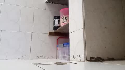 Snapshot of waltherfeet_ chatting on January 2025 09:50:02 PM WaltherFeet online show from January 2025 09:50:02 PM