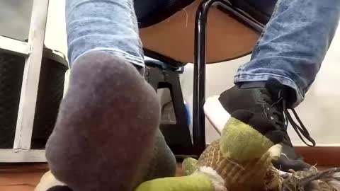 Snapshot of waltherfeet_ chatting on February 2025 06:56:02 PM WaltherFeet online show from February 2025 06:56:02 PM