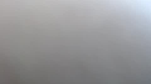 Johnny Dream online show from December 2024 06:33:02 AM