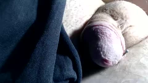 Snapshot of wantsum2night chatting on November 2025 02:40:02 PM wants online show from November 2025 02:40:02 PM