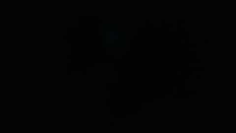 wapos__25 online show from November 2025 01:49:01 AM