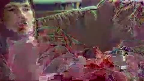 Snapshot of watchmecumforyou___ chatting on November 2025 07:23:02 PM watchmecumforyou___ online show from November 2025 07:23:02 PM