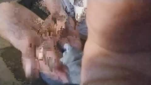 Snapshot of watchmespun chatting on November 2025 10:43:01 PM watchmespun online show from November 2025 10:43:01 PM