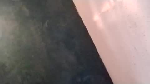 Snapshot of watchmespun chatting on November 2025 09:31:02 PM watchmespun online show from November 2025 09:31:02 PM