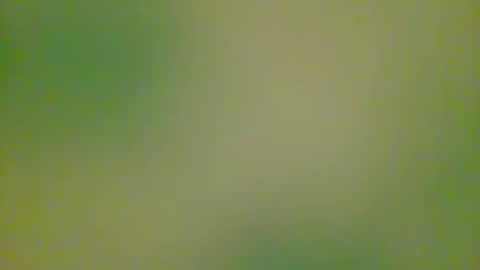 Snapshot of watchplaycum chatting on October 2025 11:24:02 PM watchplaycum online show from October 2025 11:24:02 PM