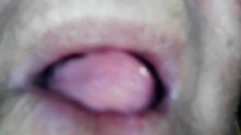 wayne1311 online show from January 2026 02:22:02 PM