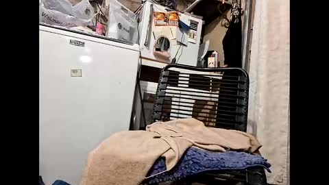 wcnmail24 online show from February 2026 07:21:01 PM