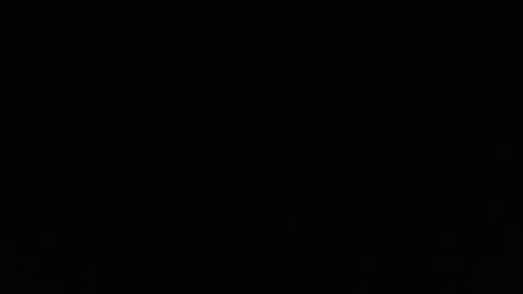 Trixie 3 online show from April 2026 01:30:01 PM