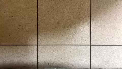 webchatter99 online show from January 2025 07:33:02 AM