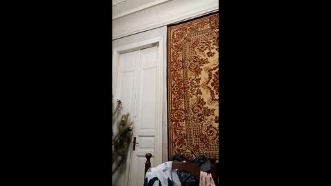 Marina online show from February 2025 04:14:01 PM