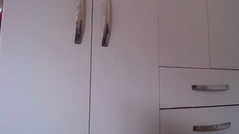 wellingtont online show from October 2025 11:50:01 AM