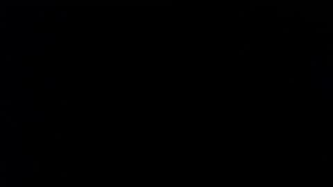 wellingtont online show from November 2025 04:52:01 PM