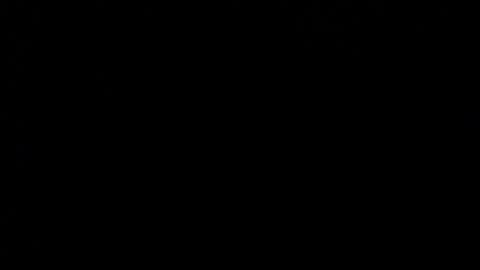 Snapshot of wellingtont chatting on December 2025 04:08:01 AM wellingtont online show from December 2025 04:08:01 AM