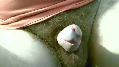 welshstuds online show from September 2025 11:59:01 AM