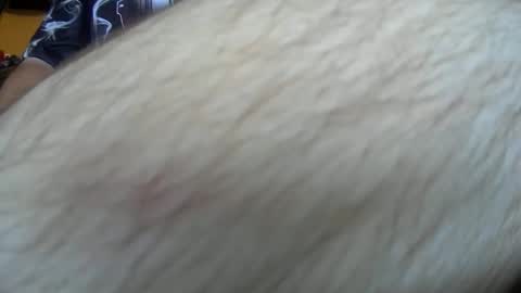 Snapshot of werewolf549 chatting on October 2025 07:53:02 AM werewolf549 online show from October 2025 07:53:02 AM