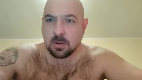 Snapshot of werewolfalfa1 chatting on November 2025 05:24:02 PM AlphaStars online show from November 2025 05:24:02 PM