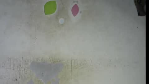 Bella online show from February 2026 09:29:02 PM