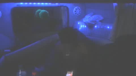 wetdreamz101 online show from January 2026 08:51:01 AM