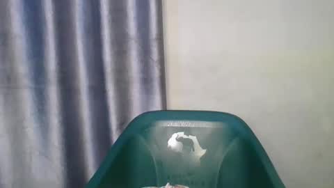 wetfatpussy_ online show from February 2026 07:10:02 PM