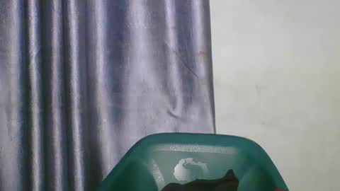 wetfatpussy_ online show from March 2026 06:59:01 PM