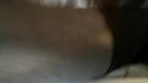 WettyDreamzEnt online show from May 2026 05:18:01 PM