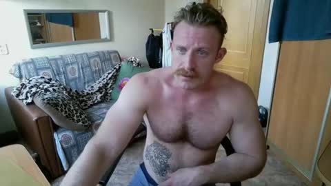 WhiteBull online show from August 2026 11:41:02 AM