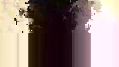 whitedood432 online show from November 2025 12:19:02 PM