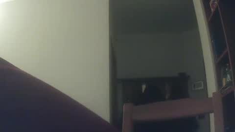 Snapshot of whiteduke81 chatting on December 2024 06:17:01 PM Whiteduke online show from December 2024 06:17:01 PM