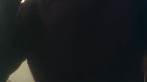 Snapshot of whiteduke81 chatting on January 2025 12:33:01 AM Whiteduke online show from January 2025 12:33:01 AM