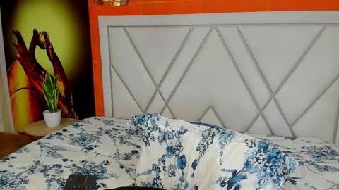 Snapshot of whitedylan9 chatting on February 2025 09:31:01 PM Dylan white online show from February 2025 09:31:01 PM