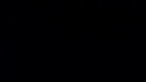 whitehead_lion online show from January 2025 07:57:01 PM