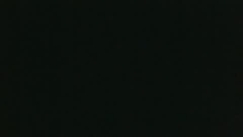 whitehead_lion online show from December 2025 08:24:02 PM