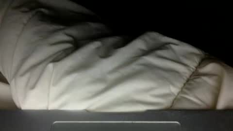 Snapshot of wholesomebull00 chatting on November 2025 04:55:01 AM wholesomebull00 online show from November 2025 04:55:01 AM