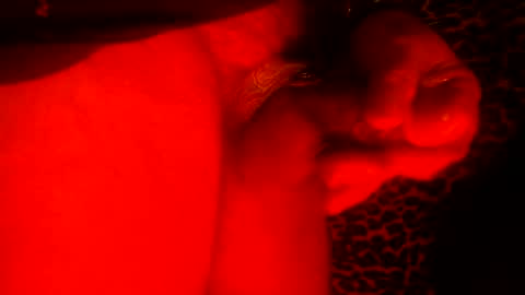 Snapshot of whor4mor chatting on January 2025 11:25:01 AM whor4mor online show from January 2025 11:25:01 AM